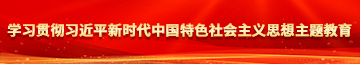 草大逼出水的视频学习贯彻习近平新时代中国特色社会主义思想主题教育